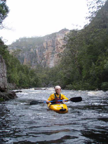 WikiRiver