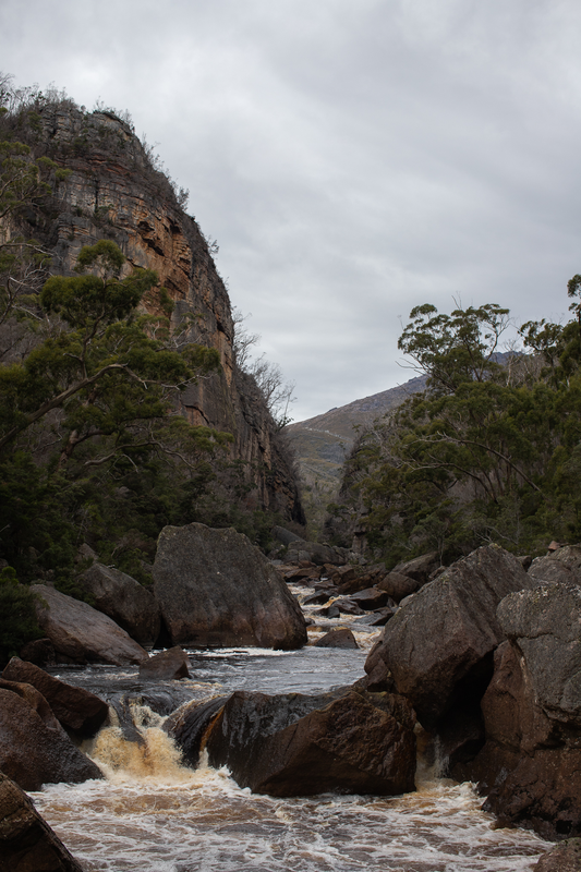 WikiRiver